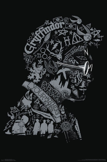 Harry Potter - Graphic Potter Poster - 22 x 34 inches
