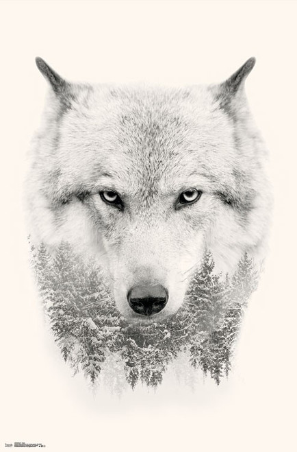 Wolf - Trees Poster - 22 x 34 inches