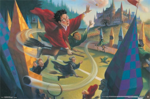 Harry Potter - Quidditch Poster - 22 x 34 inches