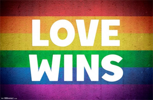 Love Wins Poster - 22 x 34 inches