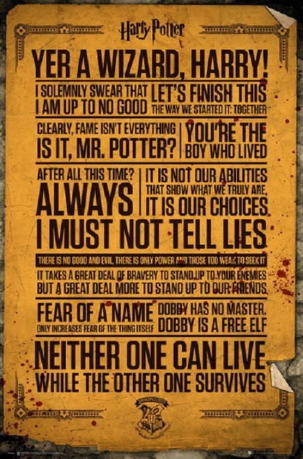 Harry Potter Quotes Poster - 22 x 34 inches