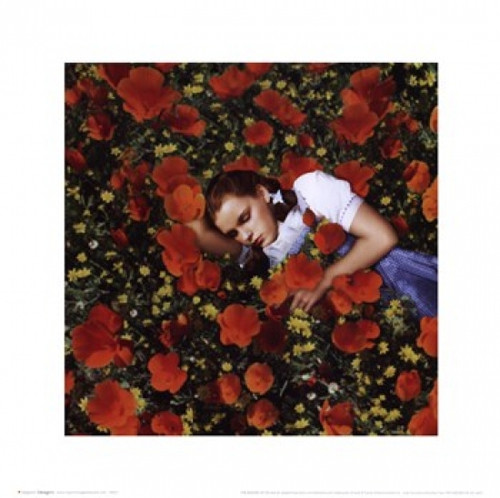 Wizard of Oz - Dorothy Poppies Poster Print