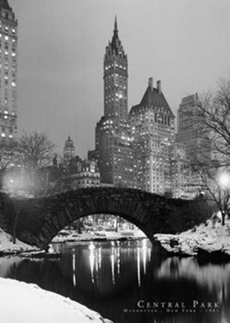 Central Park Poster - Stunning Urban Landscape Art