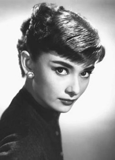 Audrey Hepburn Close Up Mural Poster Print