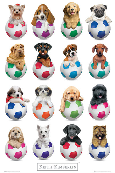 Keith Kimberlin Puppies Footballs Poster Print