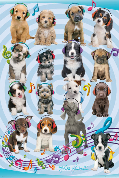 Keith Kimberlin Puppies Headphones 2 Poster Print