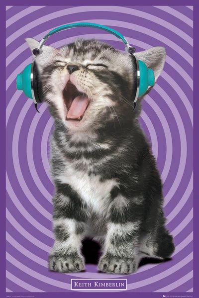 Keith Kimberlin Kitten Headphones Poster Print