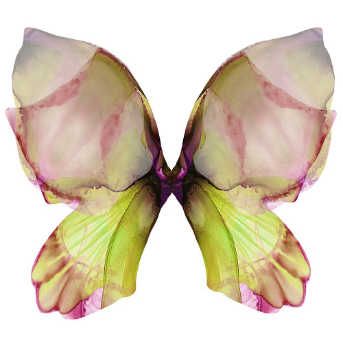 Floral Butterfly 2 Poster Print - Emma Catherine Debs