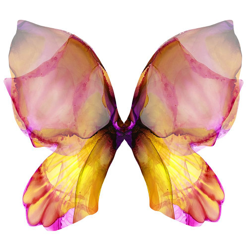 Floral Butterfly 4 Poster Print - Emma Catherine Debs