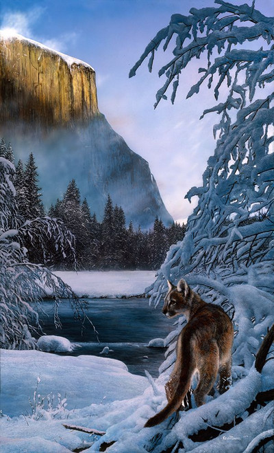 Winter Solitude Poster Print - Kevin Daniel