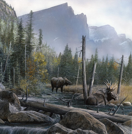 Moose in the Meadow Poster Print - Kevin Daniel