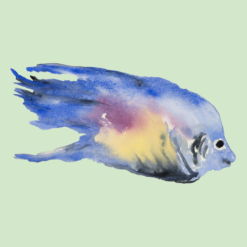 Bluefish Poster Print - Q Jacob