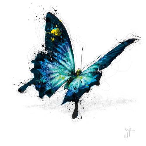 BUTTERFLY Poster Print - Patrice Murciano (12 x 12)
