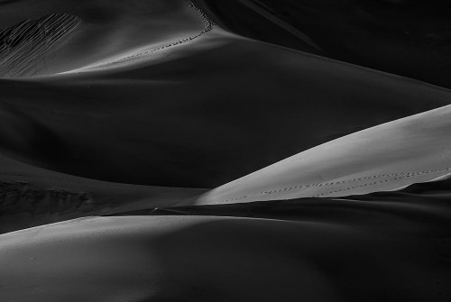 Dune Walk Poster Print - Bill Sherrell (36 x 24)