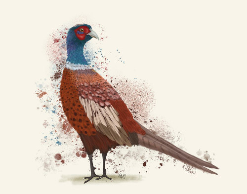Pheasant Splash 5 Poster Print - Funky Fab