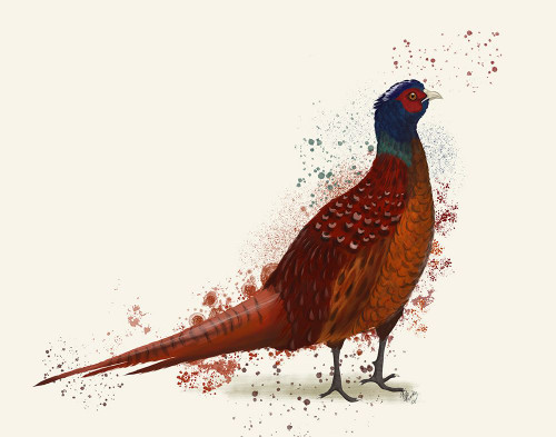 Pheasant Splash 4 Poster Print - Funky Fab