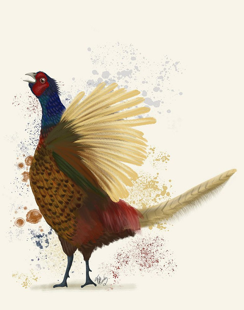 Pheasant Splash 8 Poster Print - Funky Fab