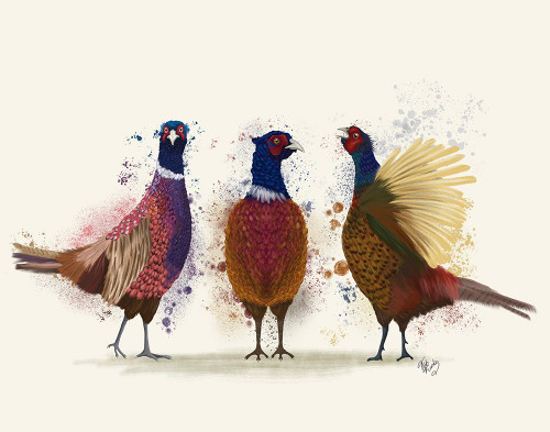 Pheasant Trio Poster Print - Funky Fab