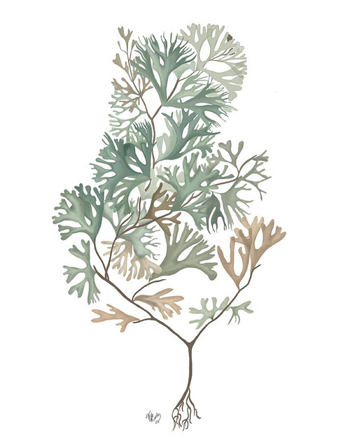 Seaweed 4 Blue Large Poster Print - Funky Fab