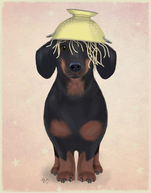 Dachshund Colander Poster Print - Funky Fab
