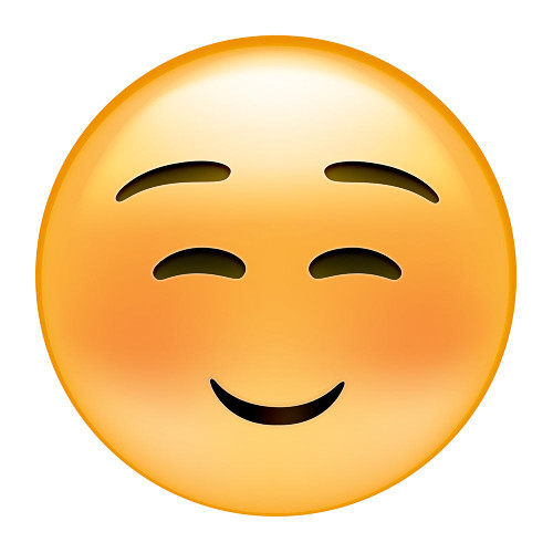emoji squint small smile Poster Print - Ali Lynne
