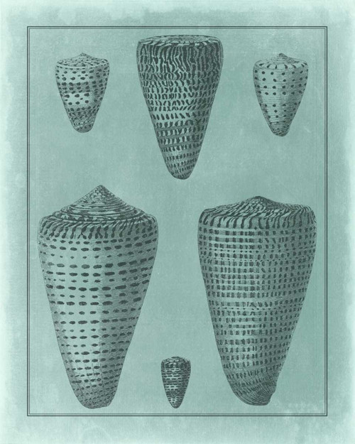 Spa Shell Collection I Poster Print - Studio Vision