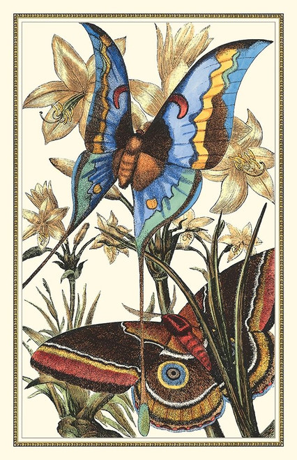 Butterfly I Poster Print - Studio Vision