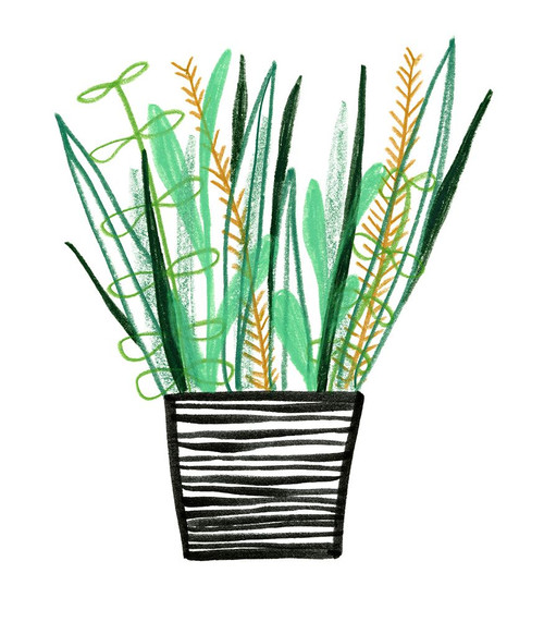 Flowerpot 6 Poster Print - Erin Lin (11 x 12)