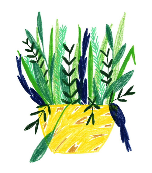 Flowerpot 7 Poster Print - Erin Lin (11 x 12)