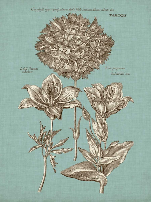 Chambray Chintz IV Poster Print - Studio Vision