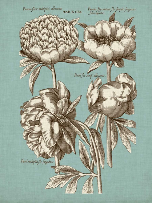 Chambray Chintz II Poster Print - Studio Vision