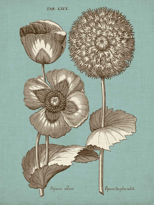 Chambray Chintz III Poster Print - Studio Vision
