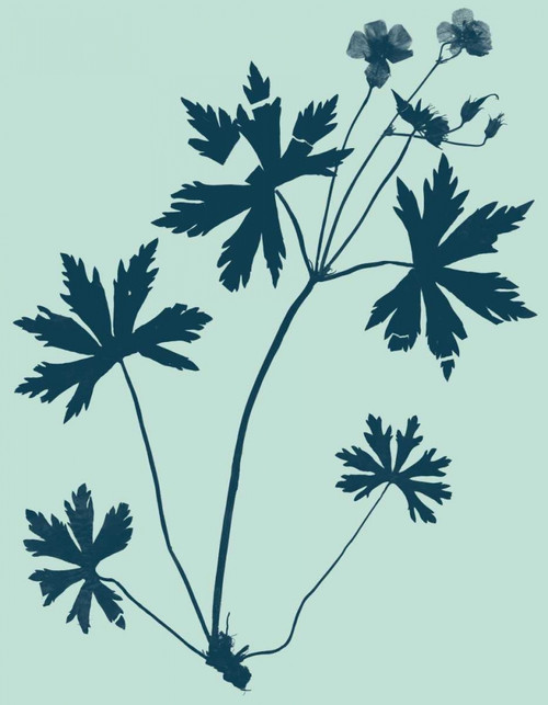 Indigo and Mint Botanical Study III Poster Print - Studio Vision
