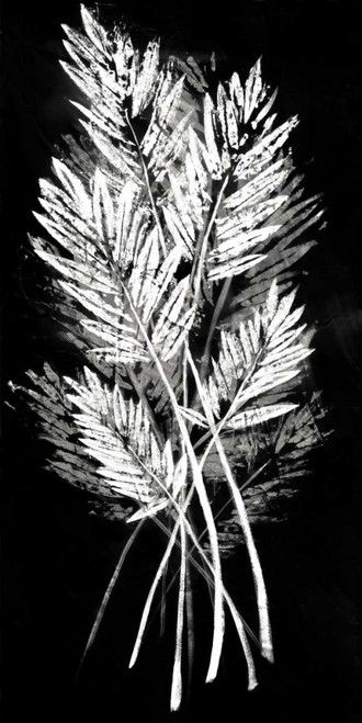 Palm Leaf Fresco II Poster Print - Studio Vision