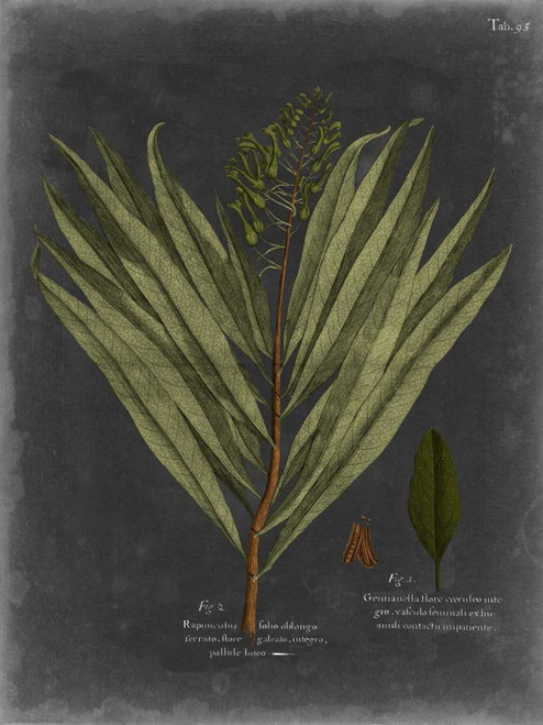 Foliage Dramatique II Poster Print - Studio Vision