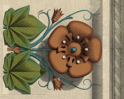 Floral Detail I Poster Print - Studio Vision
