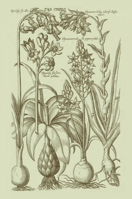 Garden of Flora I Poster Print - Studio Vision
