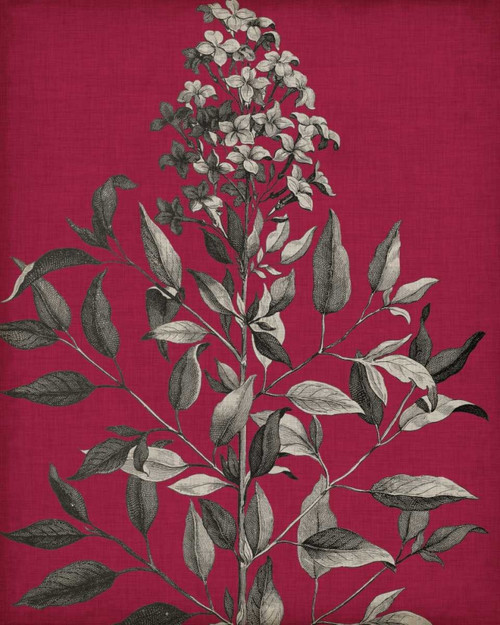 Vivid Chintz IV Poster Print - Studio Vision