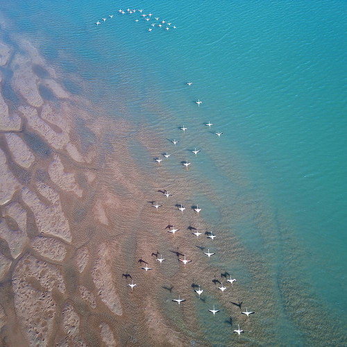 Nature From Above III Poster Print - Studio Praxis (12 x 12)