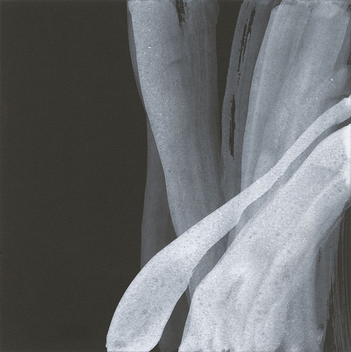 Soft White I Poster Print - Chris Paschke