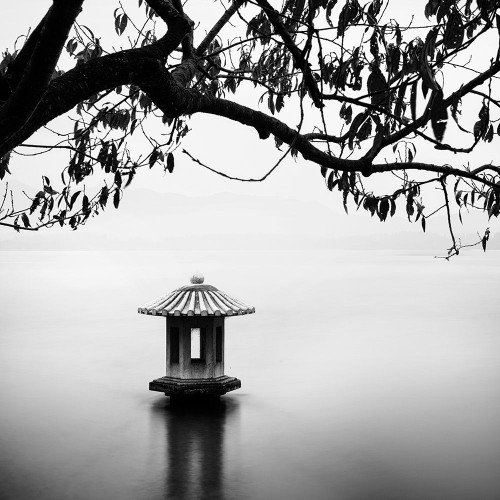 Zen Lake Poster Print - Studio Praxis (12 x 12)