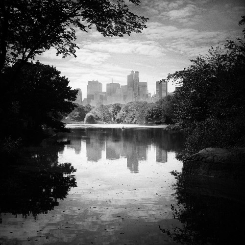 Central Park Poster Print - Studio Praxis (12 x 12)