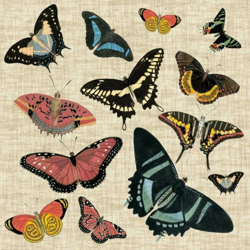 Butterflies and Linen II Poster Print - Studio Vision