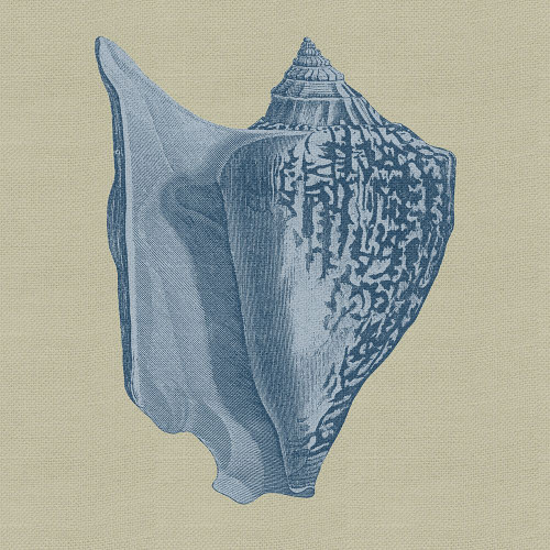 Chambray Shells I Poster Print - Studio Vision