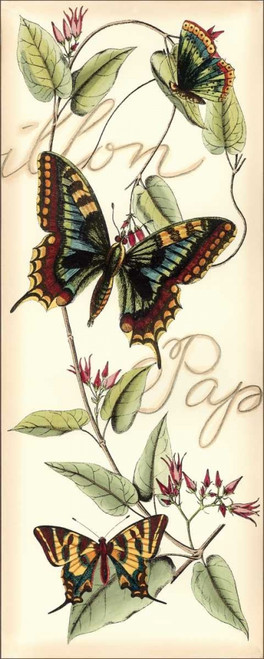 Butterfly Flight I Poster Print - Studio Vision