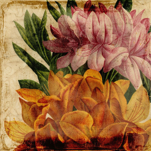 Vibrant Floral II Poster Print - Studio Vision