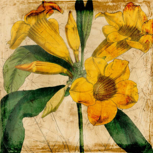 Vibrant Floral V Poster Print - Studio Vision