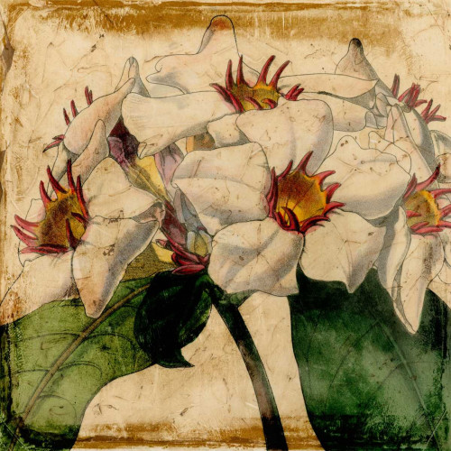 Vibrant Floral VI Poster Print - Studio Vision