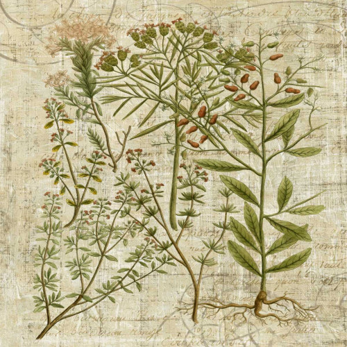 Garden Verses I Poster Print - Studio Vision