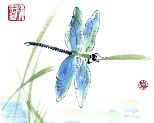 Dragonfly Poster Print - Nan Rae Parker
